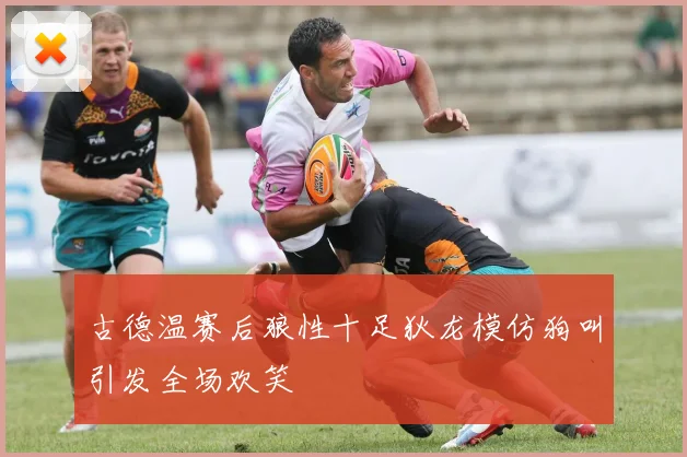 古德温赛后狼性十足狄龙模仿狗叫引发全场欢笑