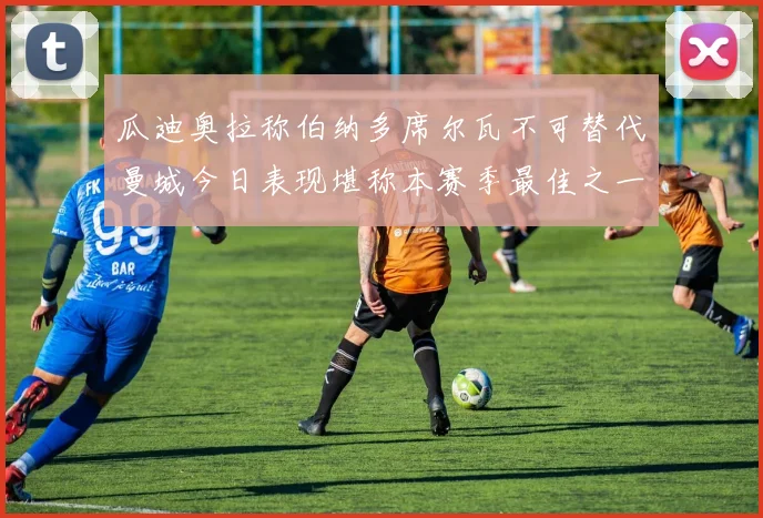 瓜迪奥拉称伯纳多席尔瓦不可替代曼城今日表现堪称本赛季最佳之一