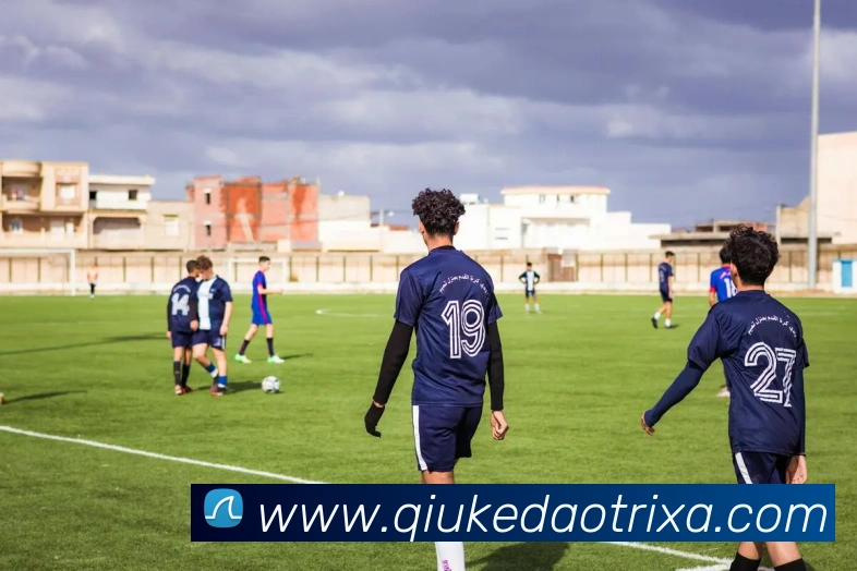 球客岛平台生态图